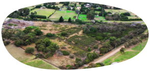 The Pearcedale bushland and wetland koala habitat saved thanks to the Peninsula Green Wedge Protection Group’s successful VCAT appeal which upheld Council’s refusal of a place of worship application. Credit: Joe Armao (The Age)